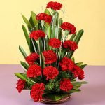 15 Regal Carnations Basket