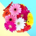 Sweet Wishes A bunch of Multicolored Gerbera flowers