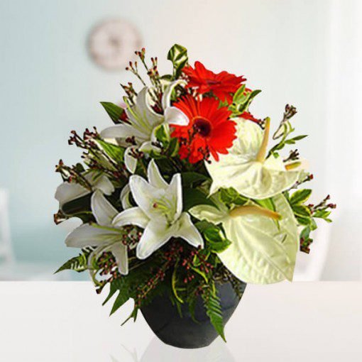 Vase arrangement of Anthurium, Gerbera & Lily