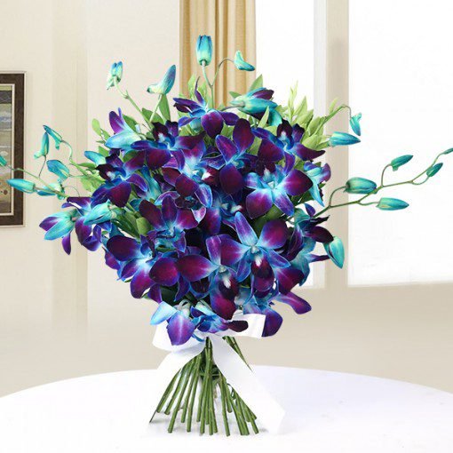Blue Orchids Bunch