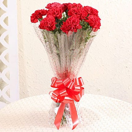 Bunch Of Ravishing 10 Red Carnations