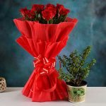 Jade Plant & Red Rose Bouquet