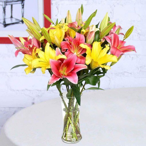Mixed Lily in Vase