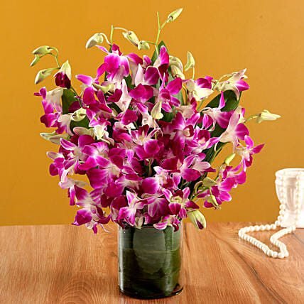 Romantic Purple Orchids Bunch
