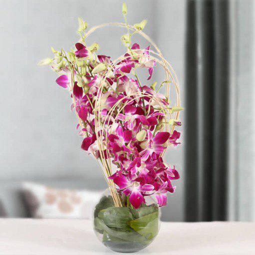 Vase of Purple Orchids