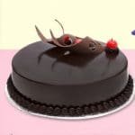 Premium chocolate truffle cake